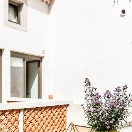 Villa Maison Granite Malmousque Marseille